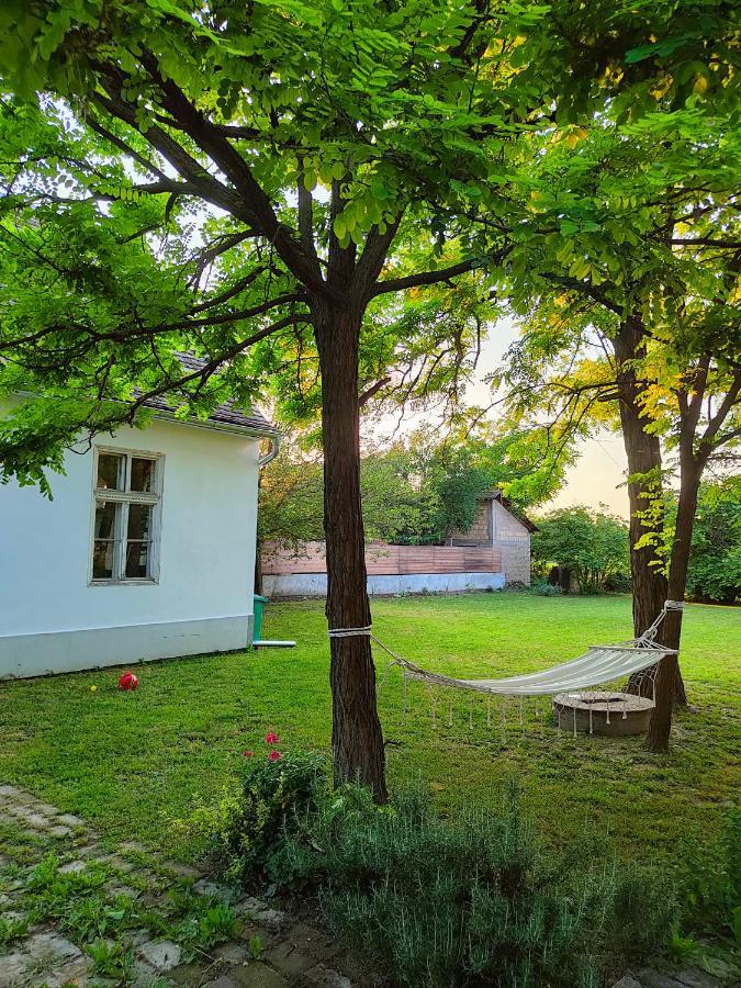 Ethno&Coffee House Tulip Bed and Breakfast Glozan Buitenkant foto