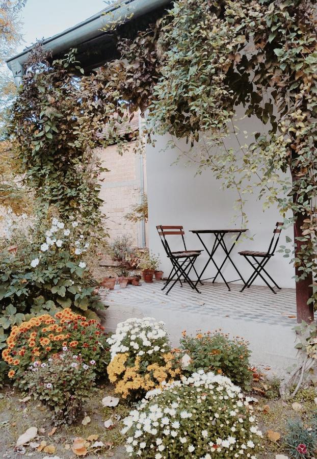 Ethno&Coffee House Tulip Bed and Breakfast Glozan Buitenkant foto