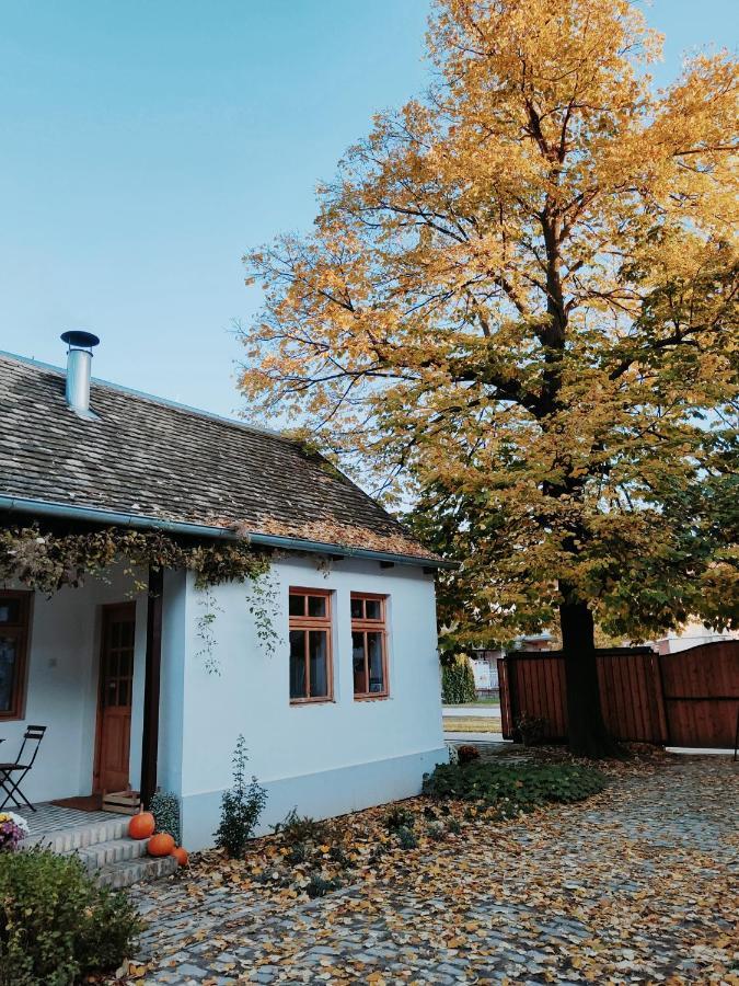 Ethno&Coffee House Tulip Bed and Breakfast Glozan Buitenkant foto